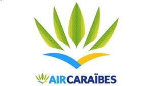 aircab-reserver-taxi-vtc-prestations-entreprises-transfert-client-particulier-aircaraibes